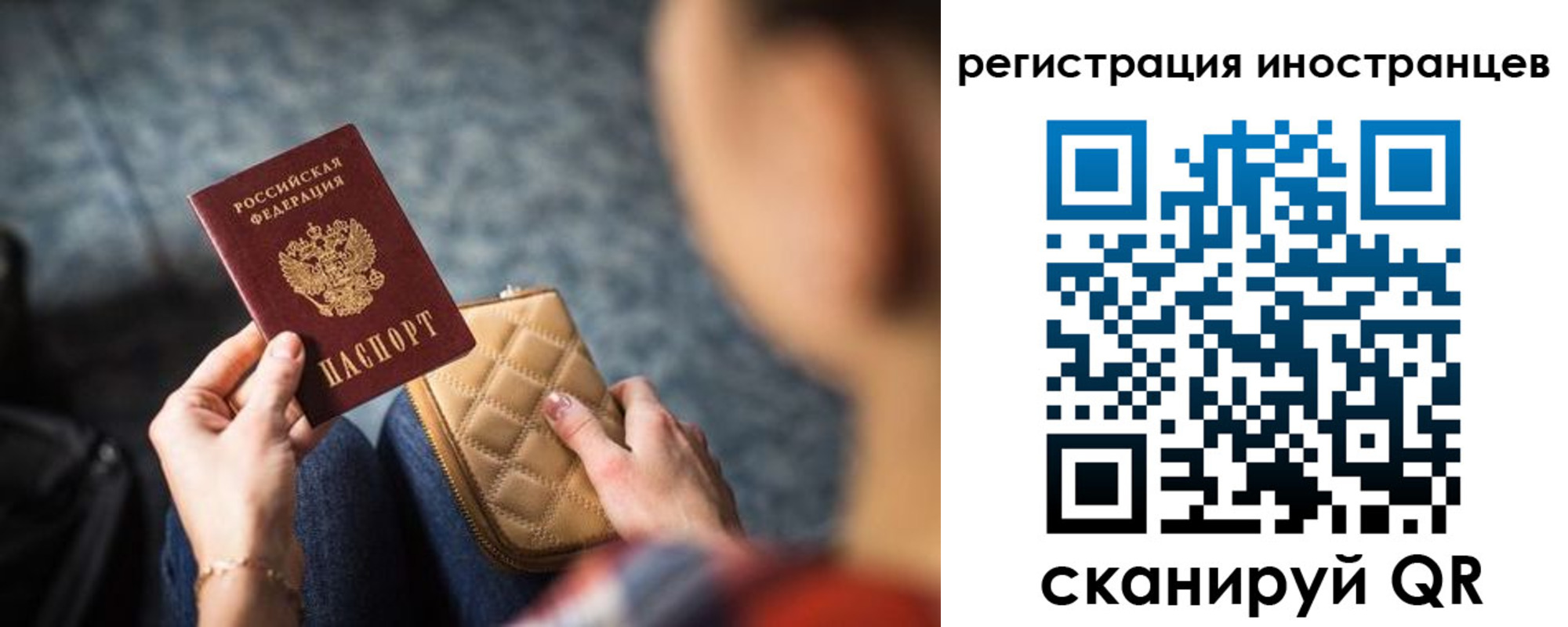 прописка поиск в Родниках